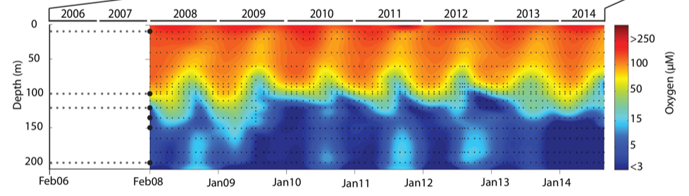 Contour plot of water column oxygen concentrations over multiple years in the time series. Warmer colors indicate high oxygen concentrations while cooler colors are low. Note the recurring pattern of oxygen decline below 100 m depth intervals followed by seasonal renewal events in late Summer into early Fall carrying more oxygenated waters into the Inlet.